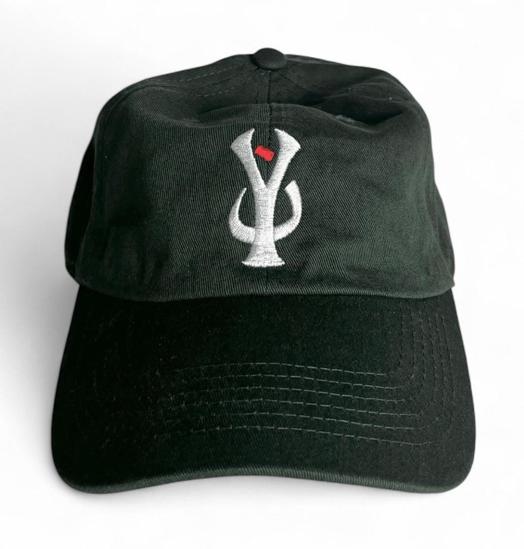 "NY" Baseball Hat