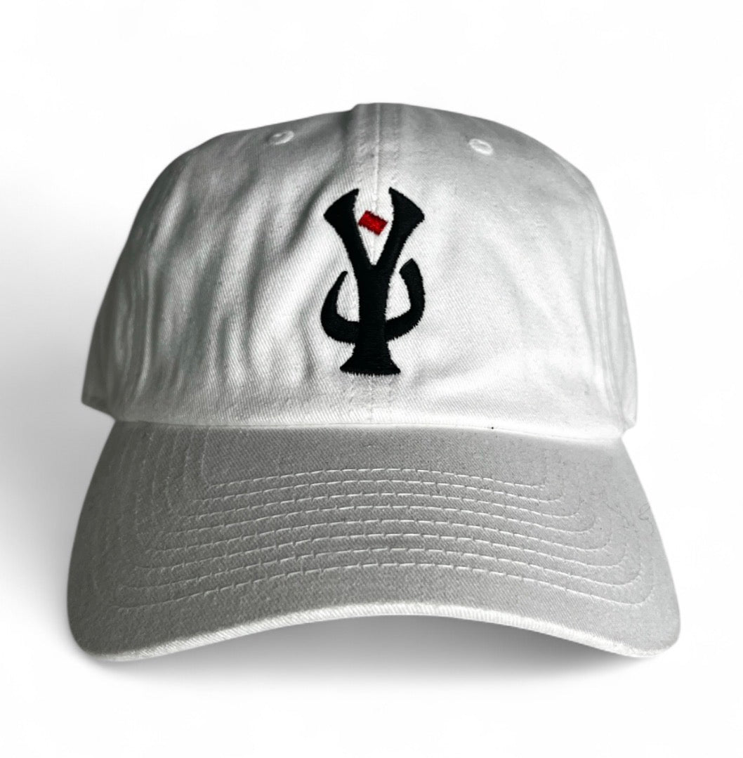 "NY" Baseball Hat